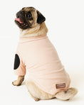Load image into Gallery viewer, Pug wearing a pink dog onesie with black - Mascotas High-Neck Shirt for dog