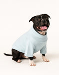 Load image into Gallery viewer, Best Buddy Shirt - shirt for a dog