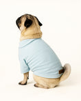 Load image into Gallery viewer, Best Buddy Shirt - dog t-shirts for small dogs
