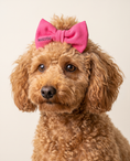 Load image into Gallery viewer, Rasberry pink dog hair bow