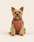Load image into Gallery viewer, Sagittarius Zodiac Pima Cotton Dog Shirt
