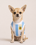Load image into Gallery viewer, Argentina Champion Jersey