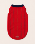 Load image into Gallery viewer, Spain Champion Jersey