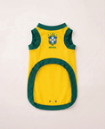 Load image into Gallery viewer, Ginga (Brasil)