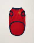 Load image into Gallery viewer, Spain Champion Jersey