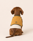 Load image into Gallery viewer, Golden Sidekick Superhero Dog Costume with Cape