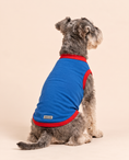 Load image into Gallery viewer, Super Pup Hero Tee | Blue Superhero Dog Shirt