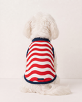 Load image into Gallery viewer, USA: Valor