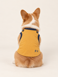 Load image into Gallery viewer, Lightning Runner Superhero Dog Halloween Costume