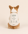 Load image into Gallery viewer, Leo Zodiac Pima Cotton Dog Shirt