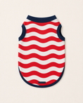 Load image into Gallery viewer, USA: Valor