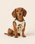 Load image into Gallery viewer, Golden Sidekick Superhero Dog Costume with Cape