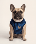 Load image into Gallery viewer, France Matching Dog & Owner Outfit