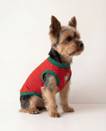 Load image into Gallery viewer, Small dog wearing a red and green striped shirt with a logo on a white background