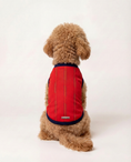 Load image into Gallery viewer, Spain Dog and Owner Matching Outfit
