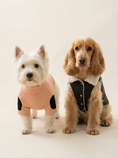 Load image into Gallery viewer, Two dogs wearing outfits on a plain background