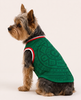 Load image into Gallery viewer, Mexico: Corazón