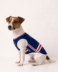 Load image into Gallery viewer, Morabeza : Cape Verde Dog Jersey