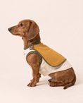 Load image into Gallery viewer, Golden Sidekick Superhero Dog Costume with Cape