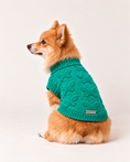 Load image into Gallery viewer, Green Butterfly Monogram Knit - Baby Alpaca Dog Sweater