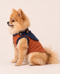 Load image into Gallery viewer, Sky Sentinel Superhero Dog Costume with Cape