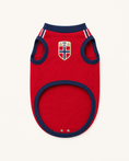 Load image into Gallery viewer, Norway: Fjord