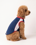 Load image into Gallery viewer, USA: Glory