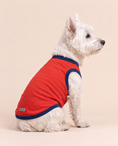 Load image into Gallery viewer, Brave Bark Hero Tee | Red Superhero Dog Costume Shirt