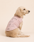 Load image into Gallery viewer, Pisces Zodiac Pima Cotton Dog Shirt