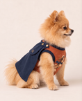Load image into Gallery viewer, Sky Sentinel Superhero Dog Costume with Cape