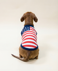 Load image into Gallery viewer, Dog wearing an American flag shirt - Back view of USA support team t-shirt for dog