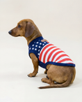 Load image into Gallery viewer, Dog wearing an American flag sweater - Side view of USA support team t-shirt for dog