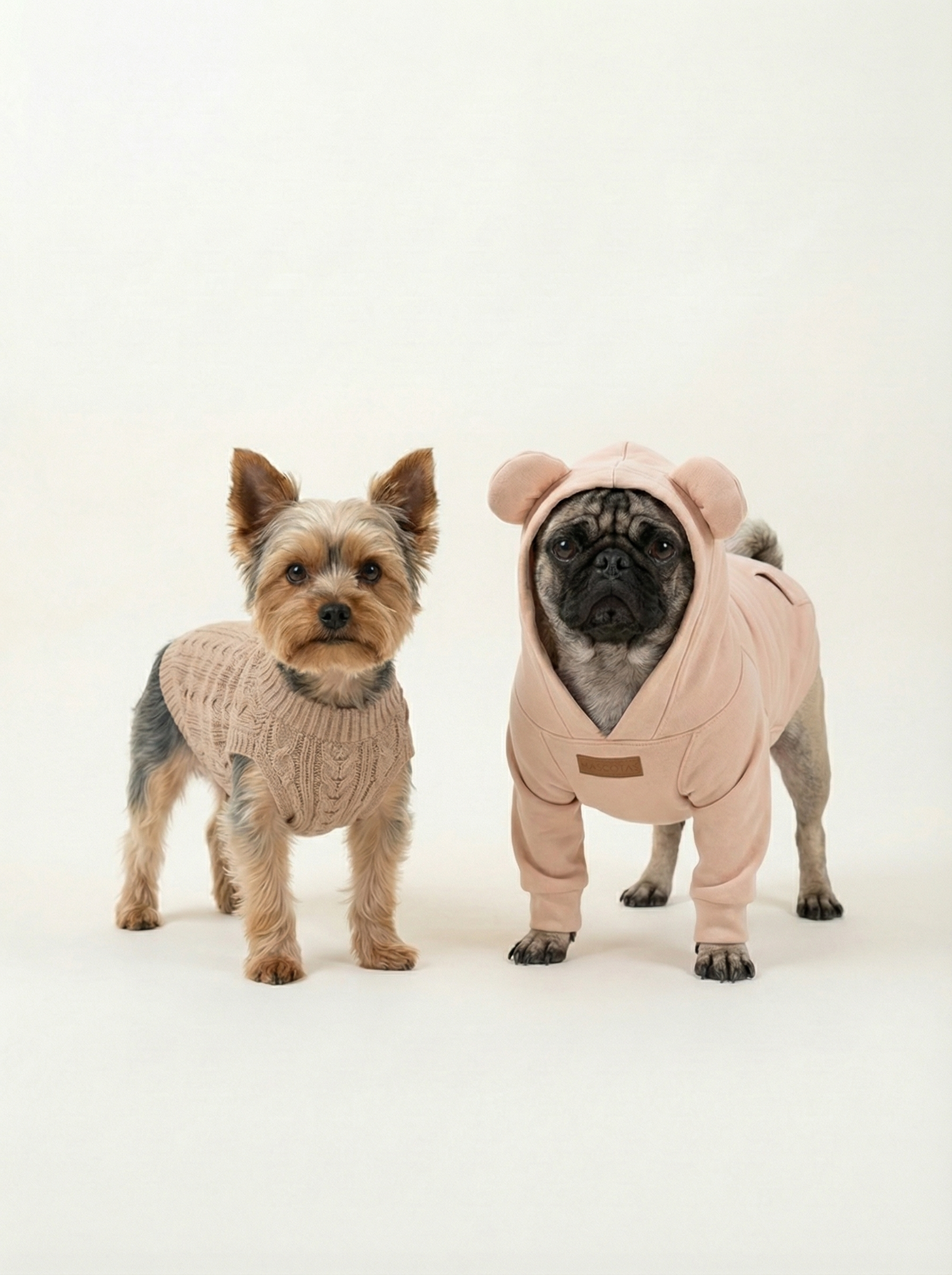 Dog Hoodies for Small Dogs (2026 Buying Guide)