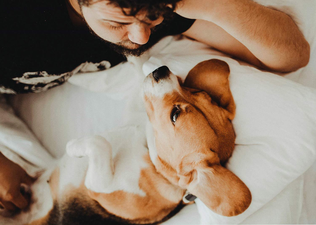 Rituals That Strengthen Your Bond