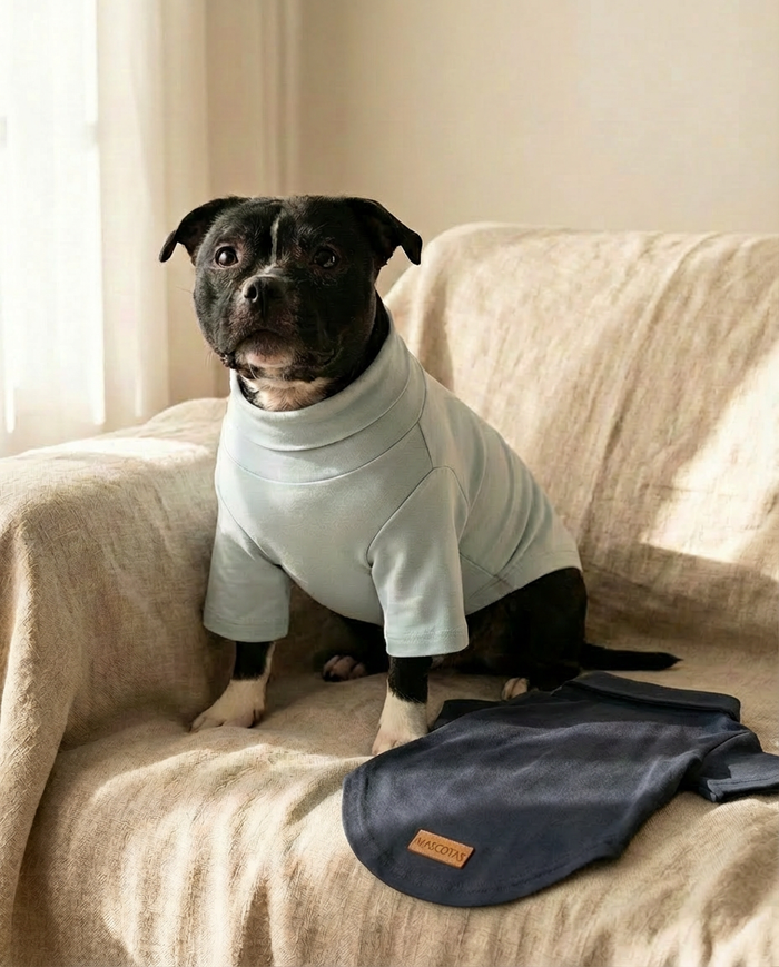 Eco-Friendly Best Dog Apparel for Stylish Everyday Use - Mascotas
