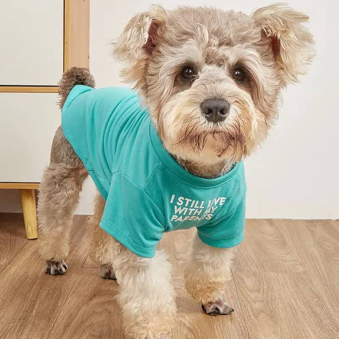Stylish Dog Shirts: Everyday Dog Shirts That Fit Real Life