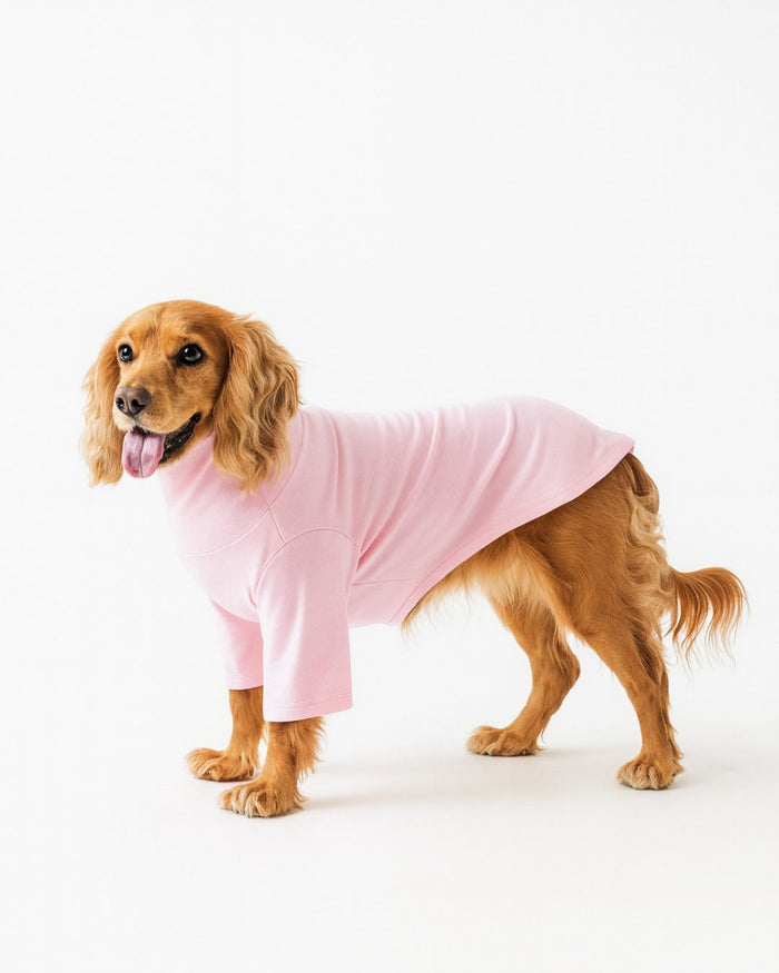 Dog Clothing