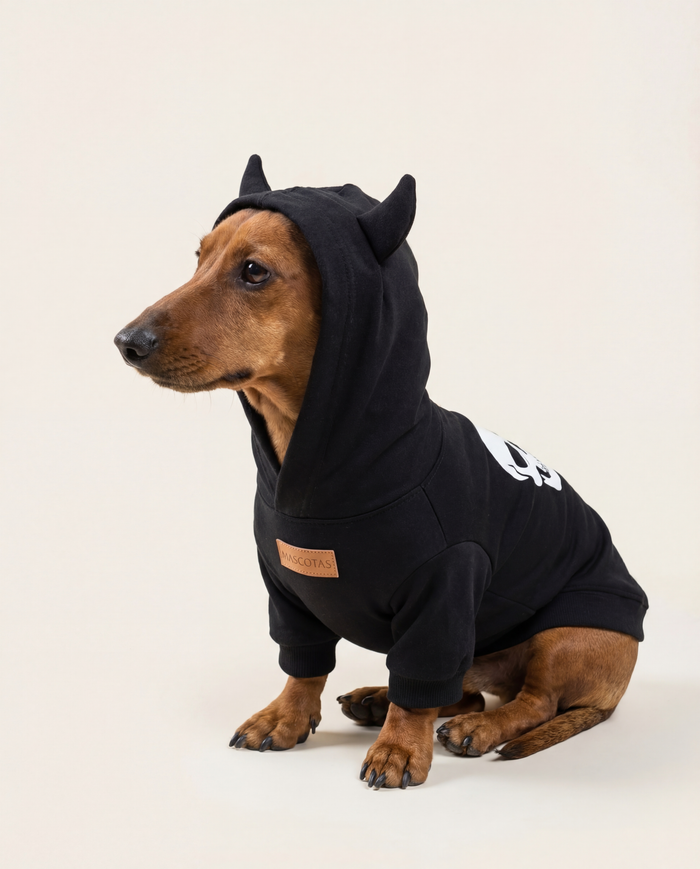 Small Dog Jackets and Outerwear: Protective Winter Clothes for Dogs