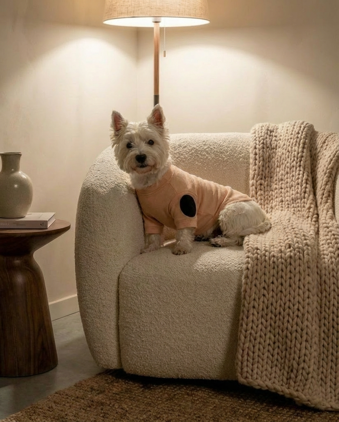 Everyday Dog Clothing Made Soft, Natural, and Comfortable