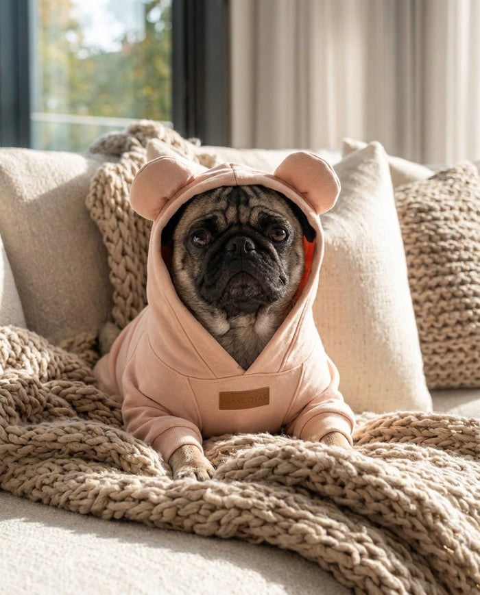 Comfortable Dog Clothes Designed for Daily Wear at Home