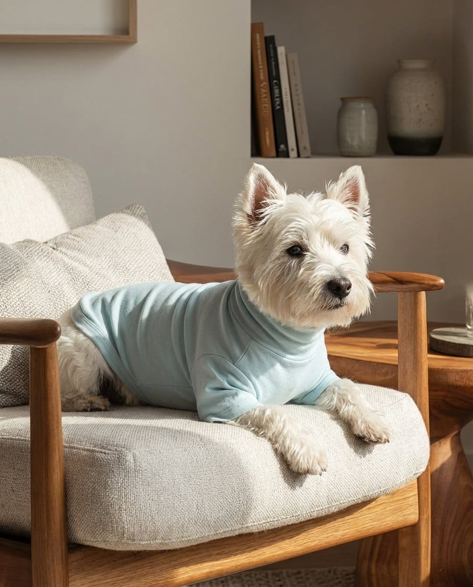 Best Cotton Dog Shirts for Small Dogs: Lightweight Dog Clothes for Everyday Comfort
