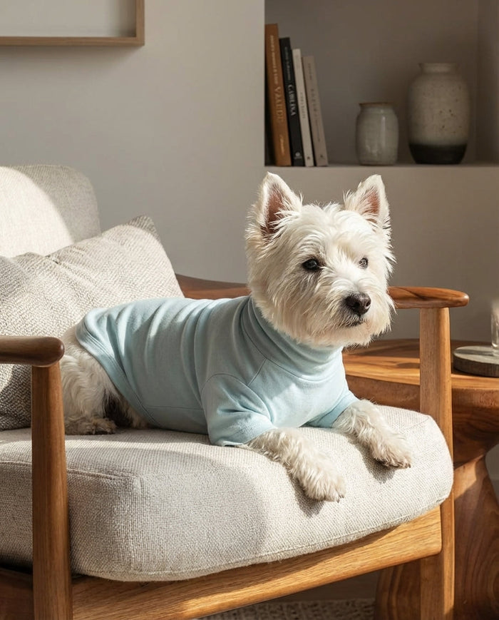 Best Cotton Dog Shirts for Small Dogs: Lightweight Dog Clothes for Everyday Comfort