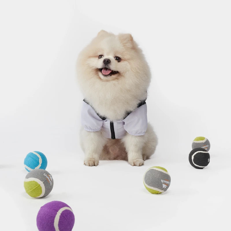 Shirts for Small Dogs