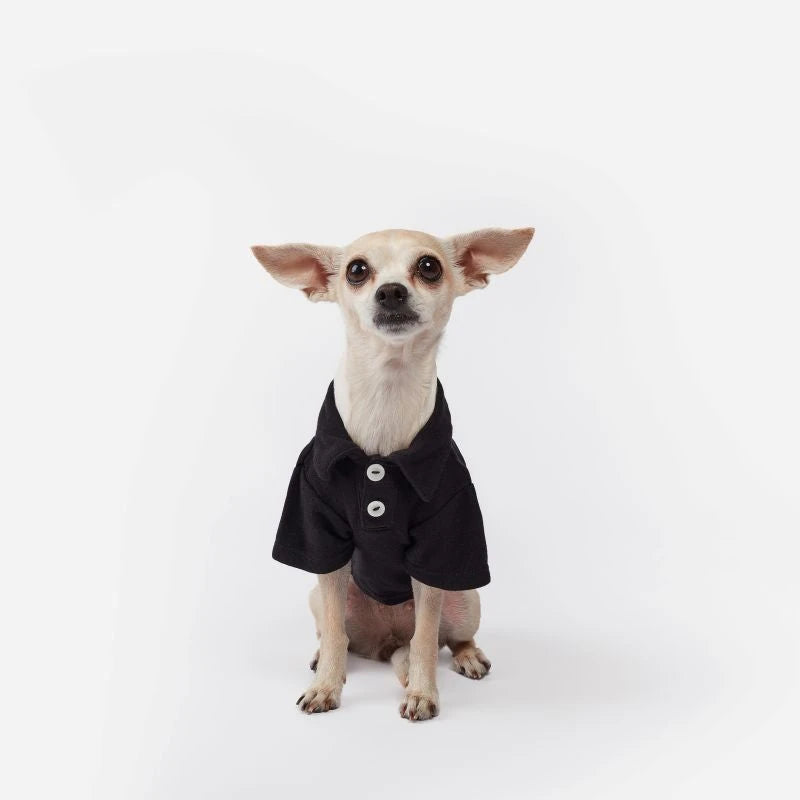 THE WOOF WALK WARDROBE