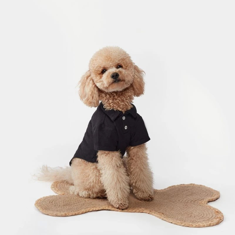 Unleash the Pima Comfort