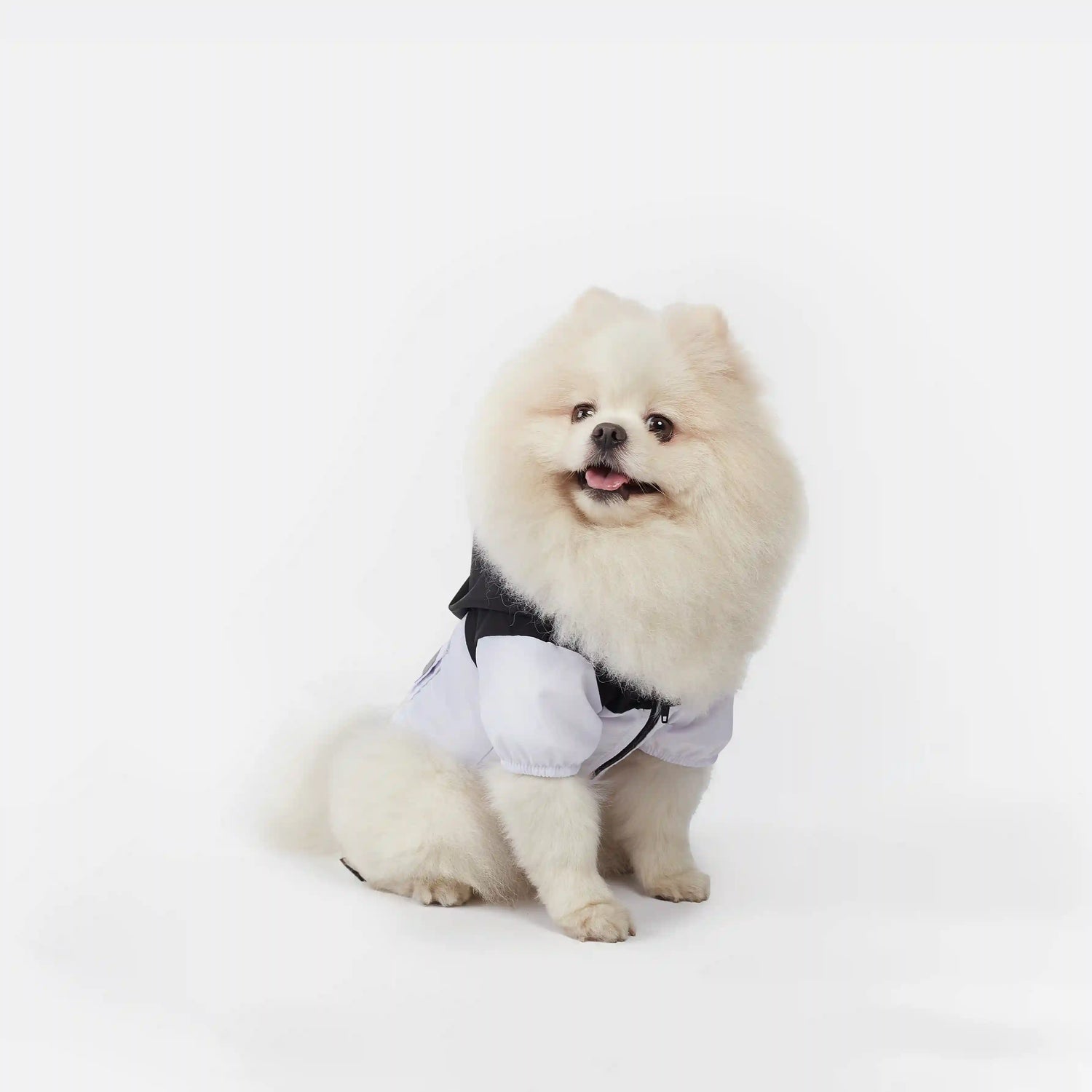 Jackets for Small Dogs