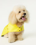 Load image into Gallery viewer, Dog wearing a yellow raincoat - Rainy Shield designer dog Jacket -  mascotas 

