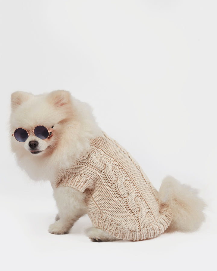 Small dog wearing a beige knitted sweater and sunglasses - sweater for a dog