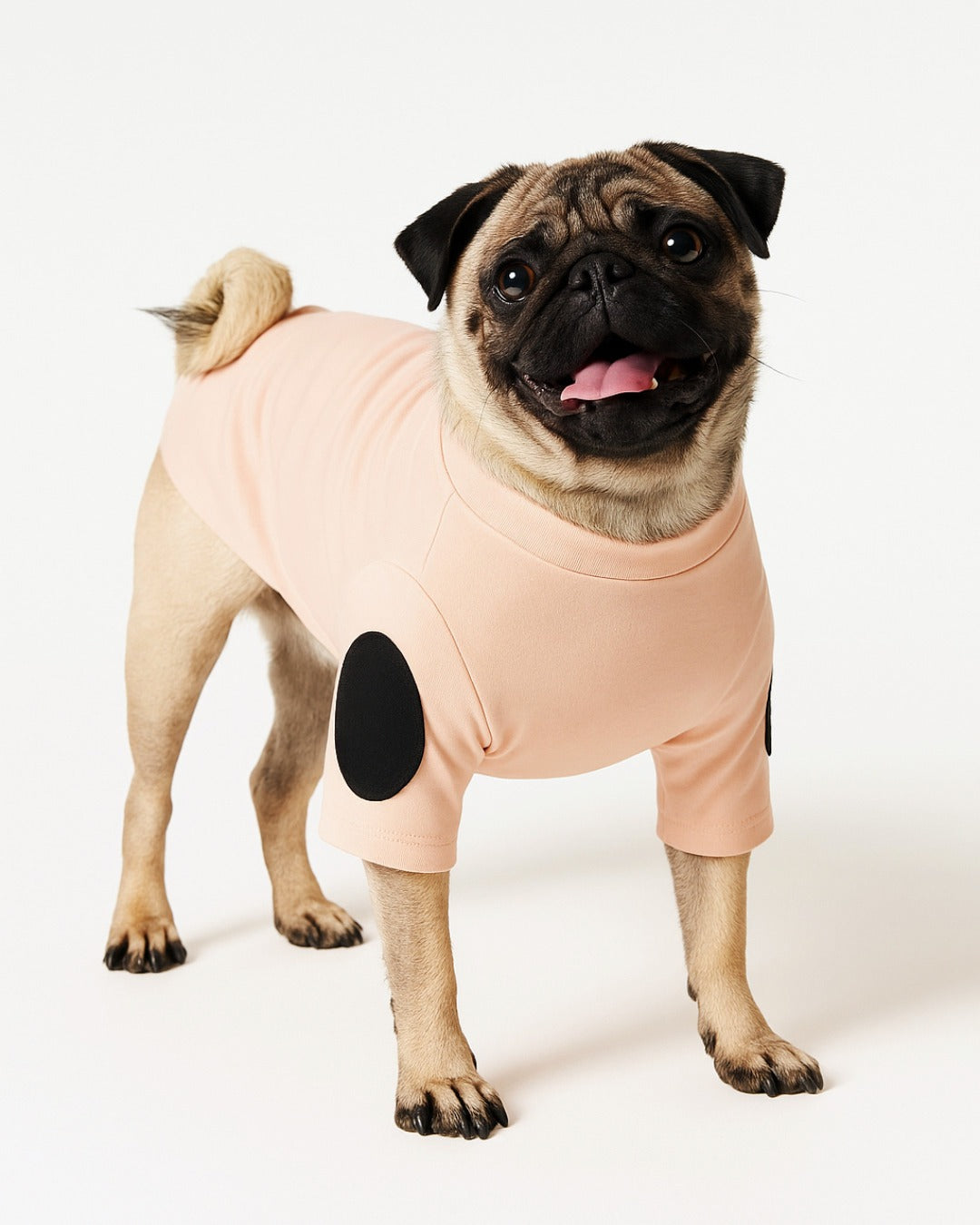  hoodies for small dogs