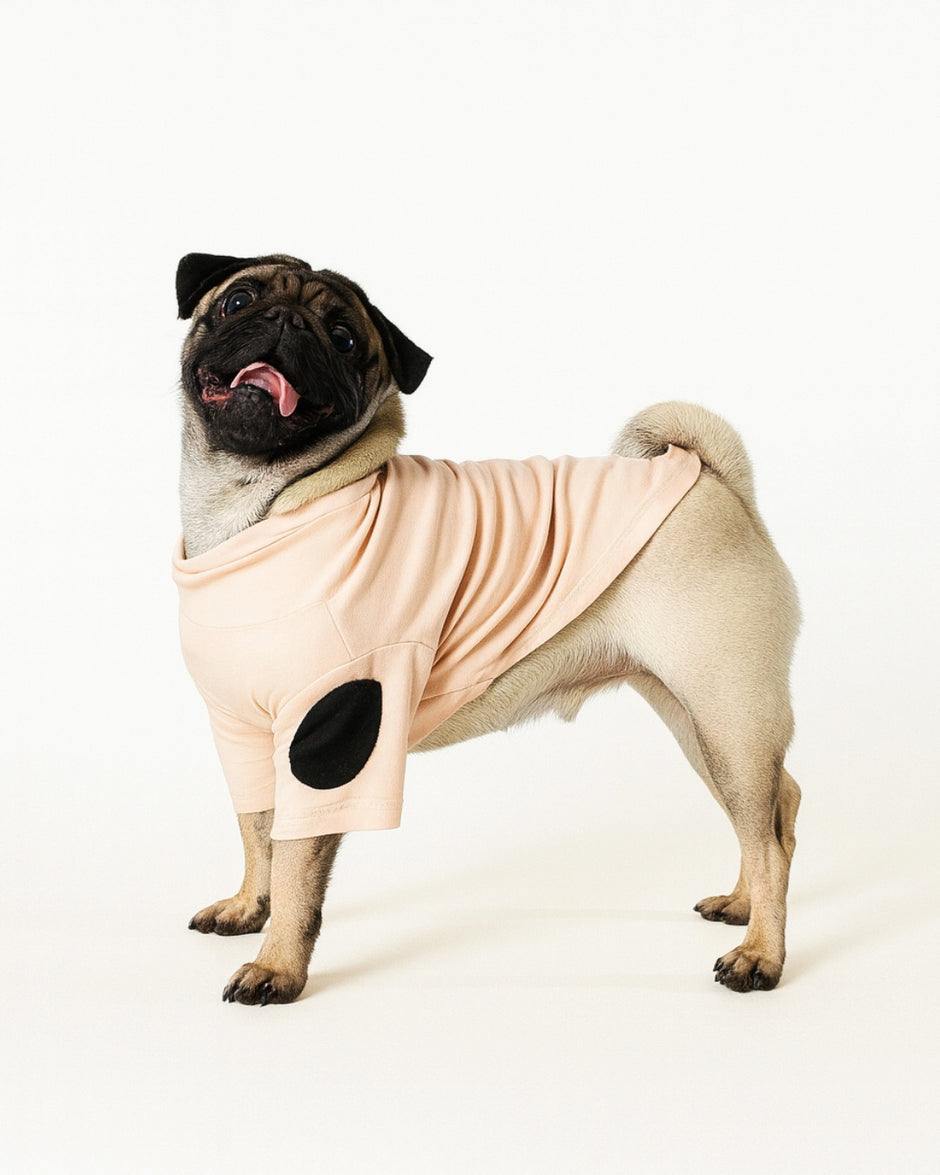 Pug wearing a light pink sweater with black accents, Mascotas dog - Original High-Neck Shirt